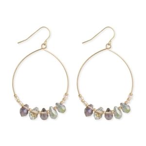 Women's drop earrings-NWT